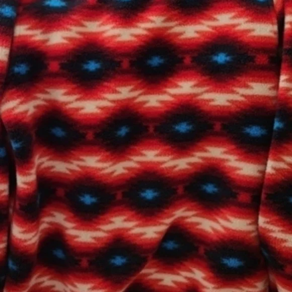 Patagonia Red and Blue Patterned Fleece Pullover - Picture 5 of 5